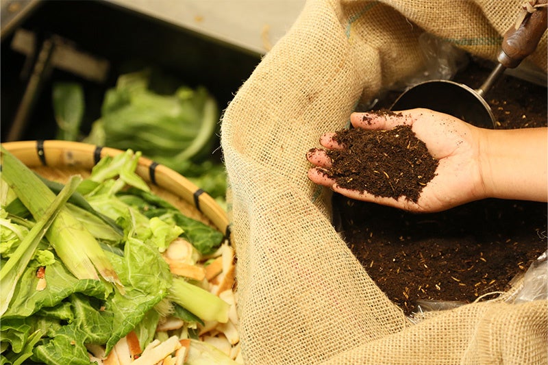 「食の完全リサイクル」を達成するリビエラ循環野菜