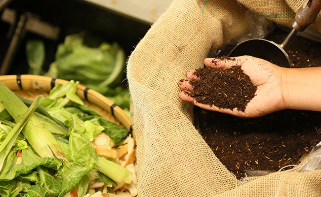 「食の完全リサイクル」を達成するリビエラ循環野菜