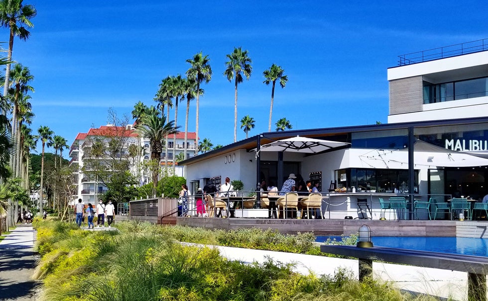 マリブファーム 逗子マリーナ