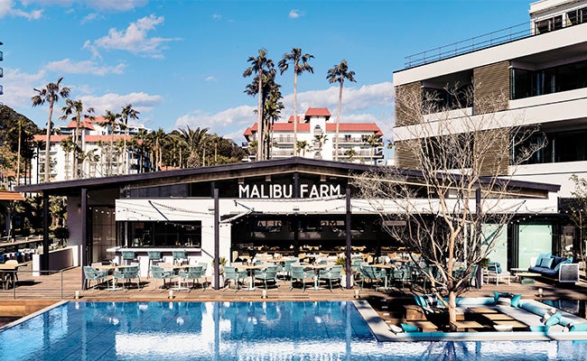 マリブファーム 逗子マリーナ