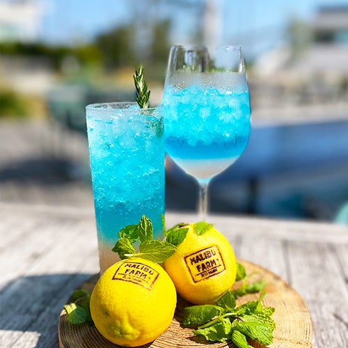 マリブファーム限定&nbsp; 右 カクテル&nbsp; 左 ノンアルコール