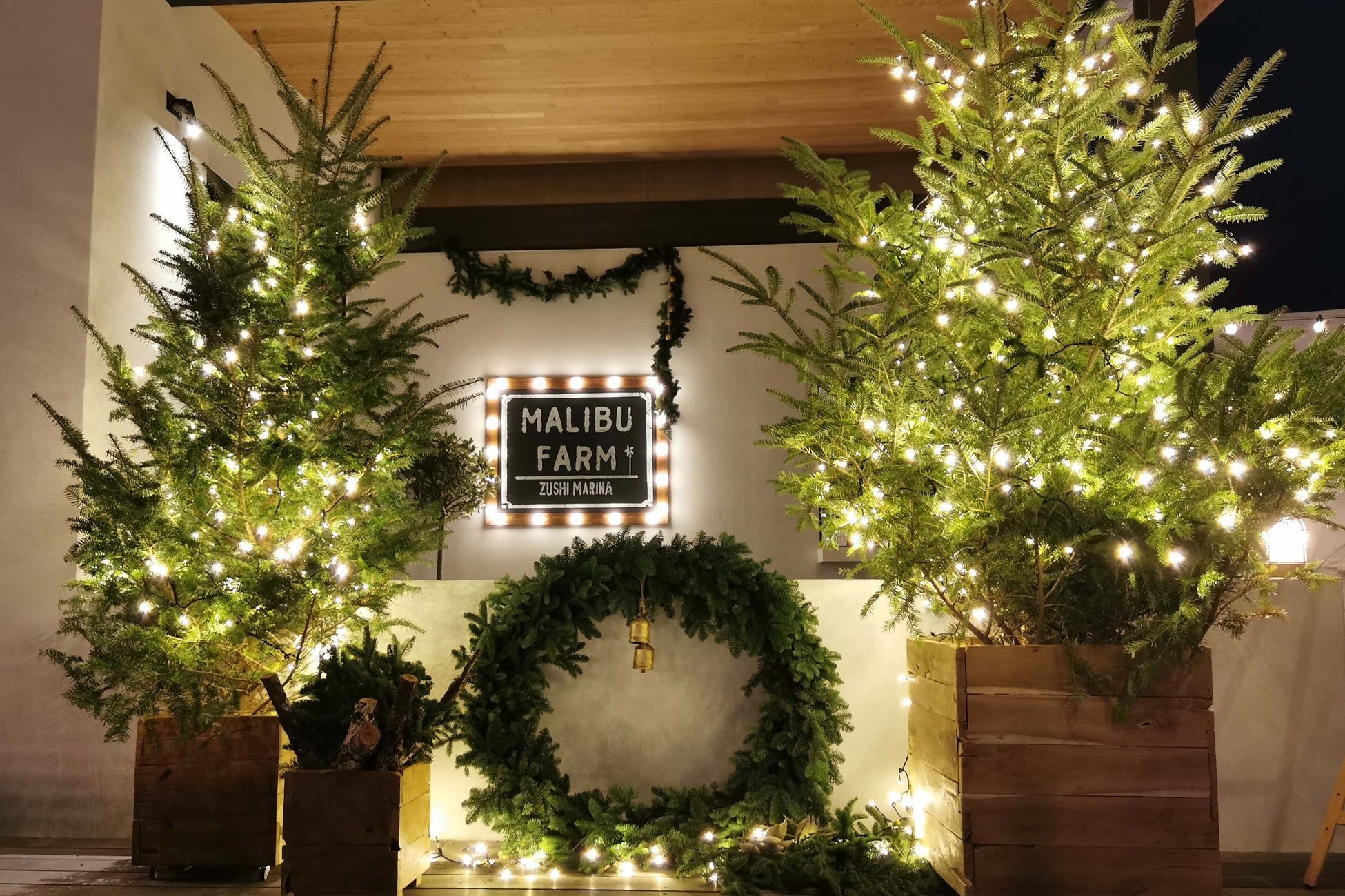 エントランスや店内には、リビエラのフローリストが手掛けた華やかなクリスマスコーディネートで皆様をお迎えします。