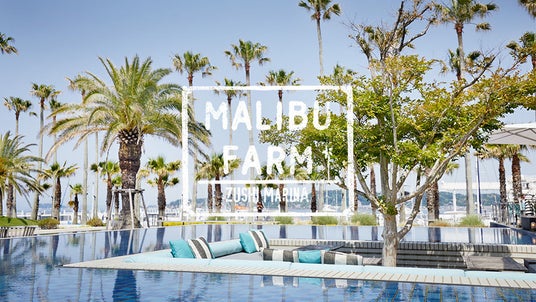 【円安の夏旅に】パスポート不要のL.A.へ!リビエラ逗子マリーナで音楽×食×リゾートを五感で味わうサマーセッション、日本初上陸レストラン「マリブファーム」で7/11限定開催 【円安の夏旅に】パスポート不要のL.A.へ!リビエラ逗子マリーナで音楽×食×リゾートを五感で味わうサマーセッション、日本初上陸レストラン「マリブファーム」で7/11限定開催