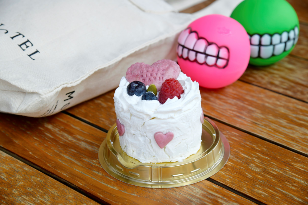 プレゼント（ワンちゃん用バースデイケーキ、トイ、トートバッグ）