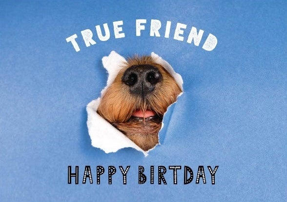 ホテルオリジナルのフォトカバー兼バースデイカード