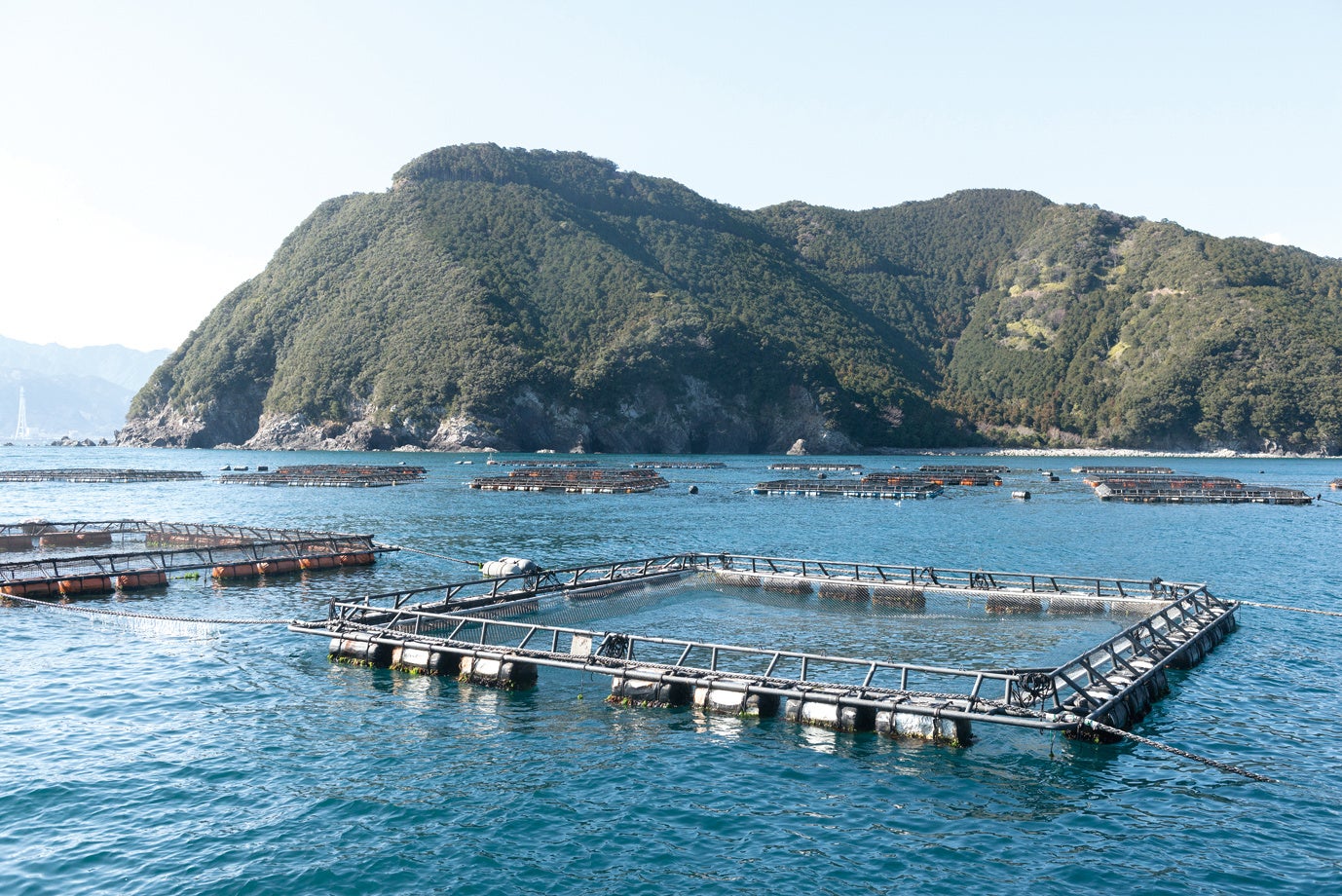 はまち／寒ぶりの養殖場イメージ①