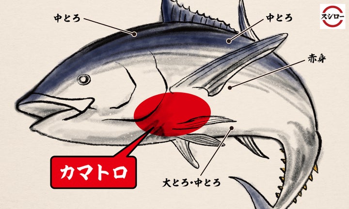 もう二度とできない!?3日間限定でご提供!!まぐろの王様“本まぐろ”の希少部位“カマトロ”のみを厳選した「特ネタ大とろ」を半額の150円(税込 ...