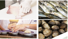 「回転寿司みさき」のこだわり　イメージ