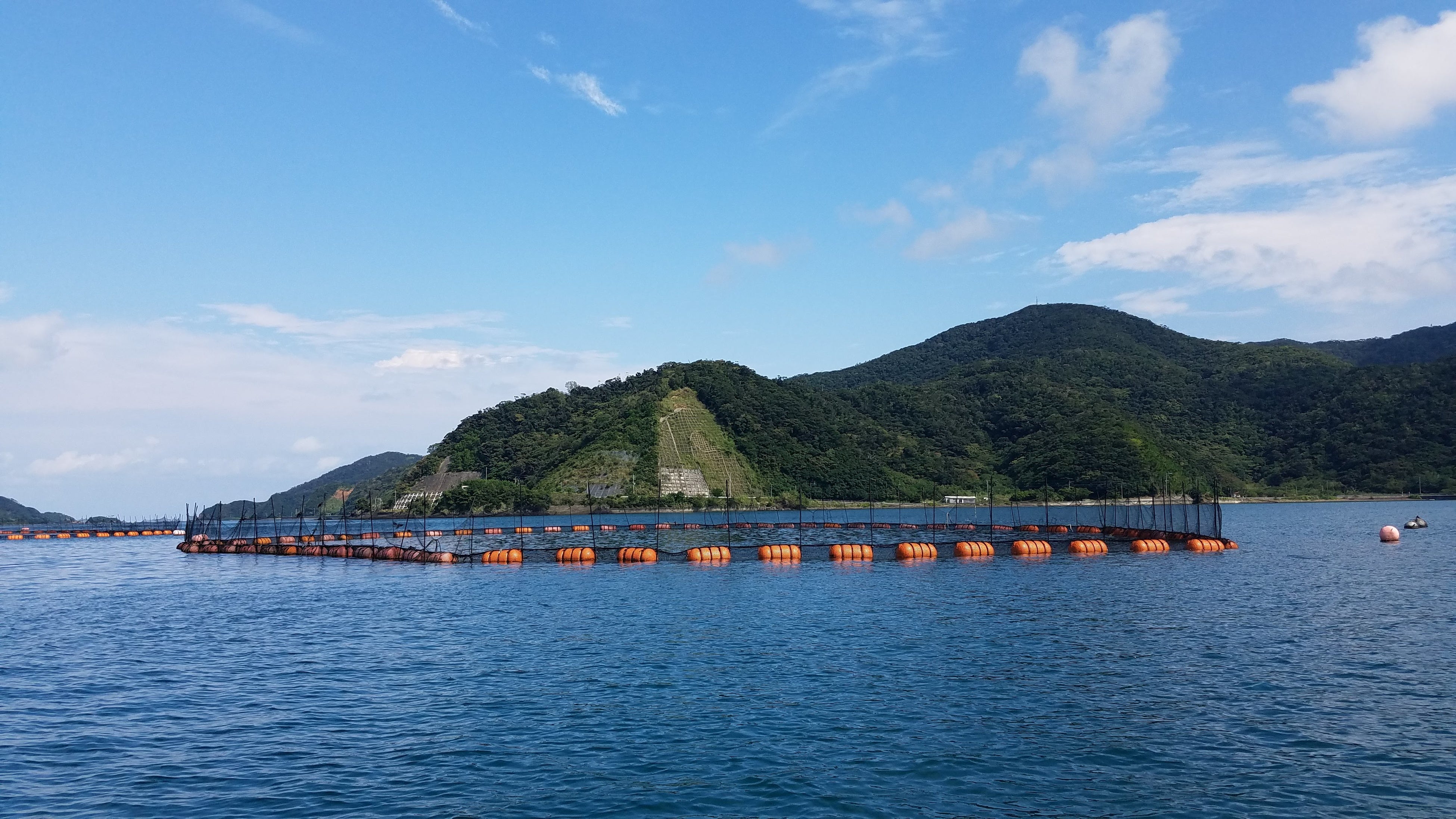 独自設計の大型いけす