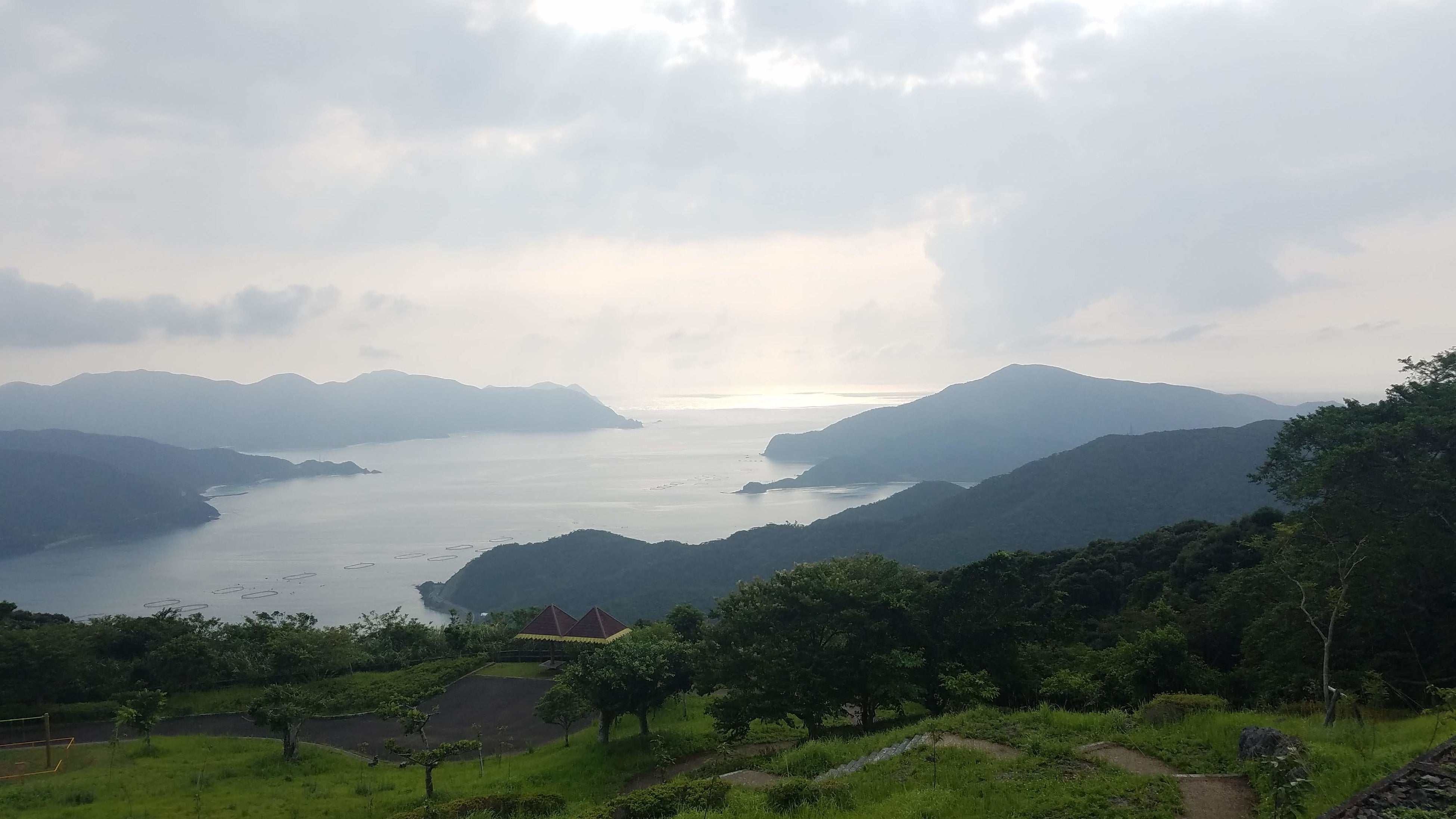 大自然の残る奄美大島