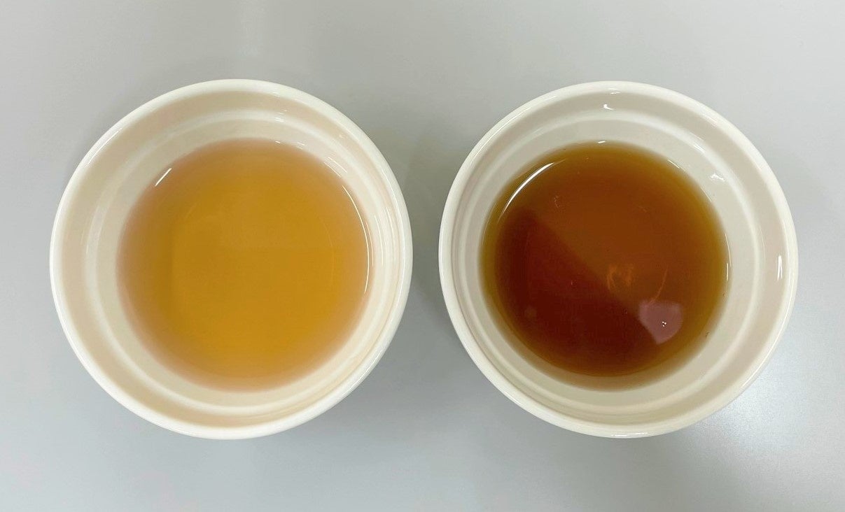 （左）通常仕様／（右）フェア仕様