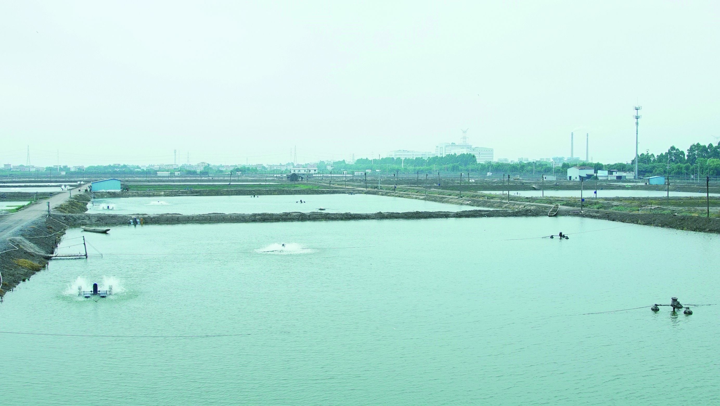 ▶自然に近い環境で、のびのび育てています。