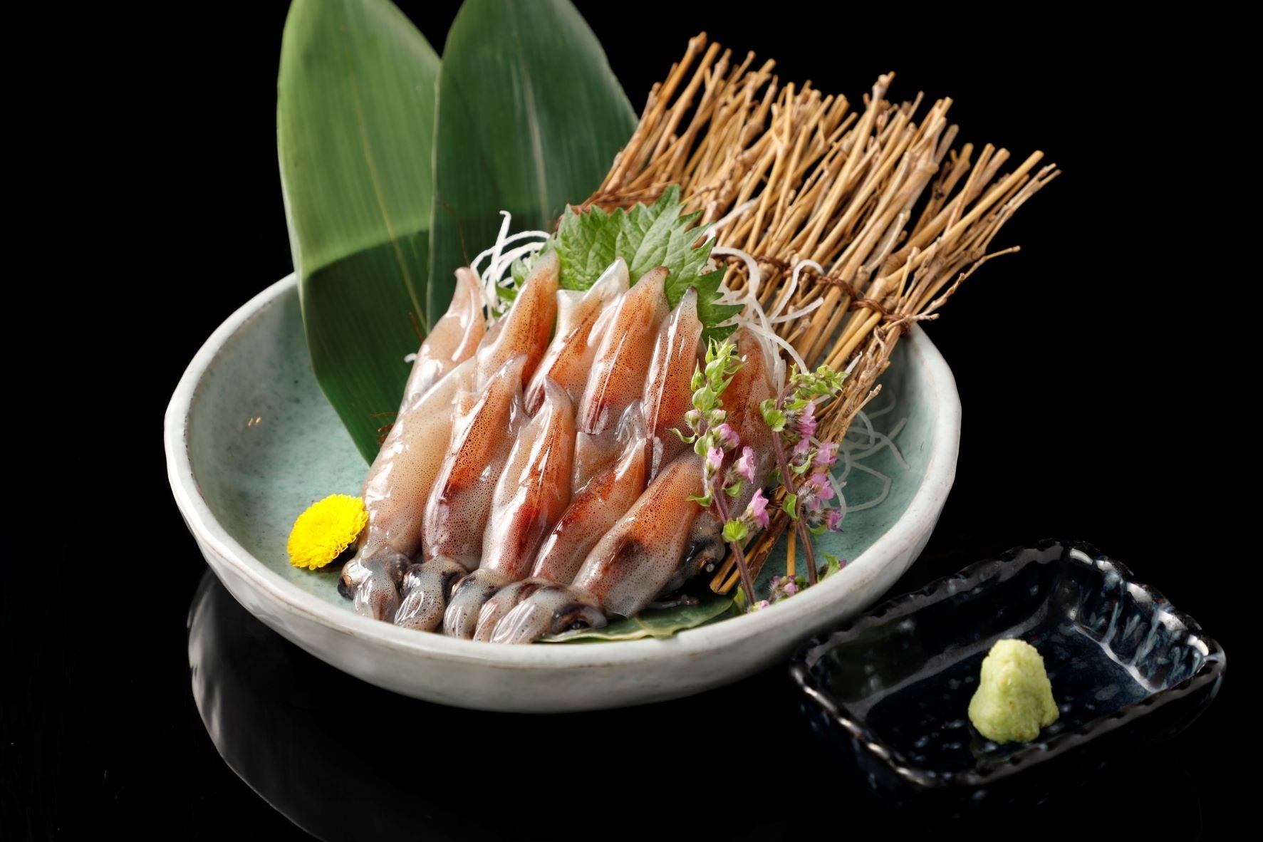 富山県産 エサ用冷凍ホタルイカ 6kg (600g×10) 無添加 富山産 ボイル ホタルイカ 100g×3パック(100g約15尾入