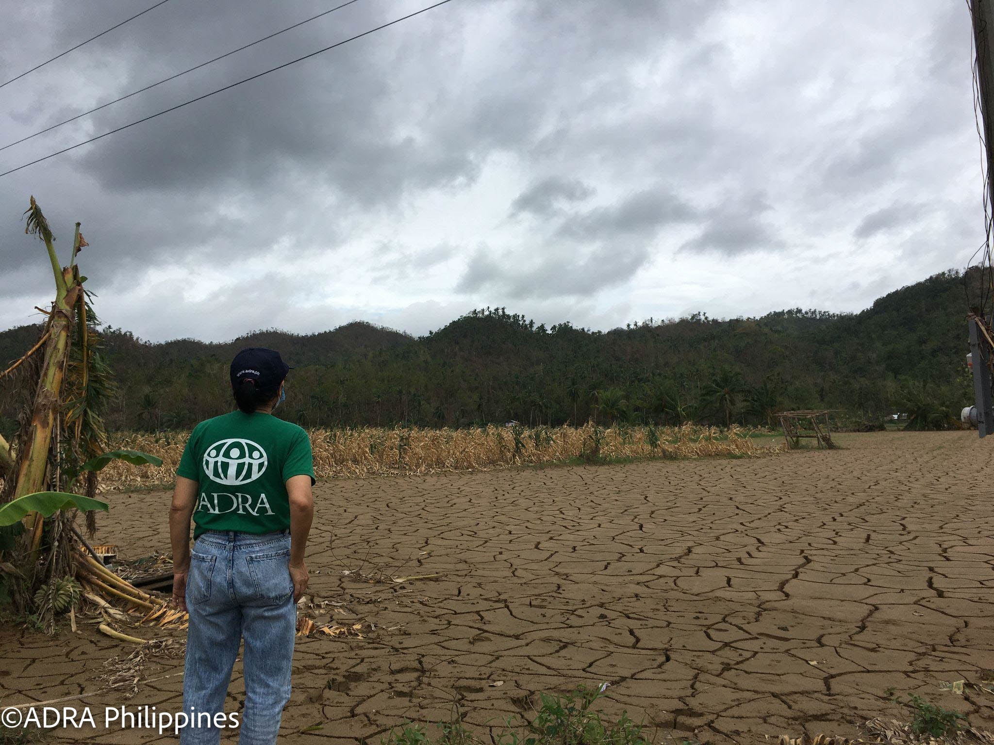 泥に埋もれた田畑