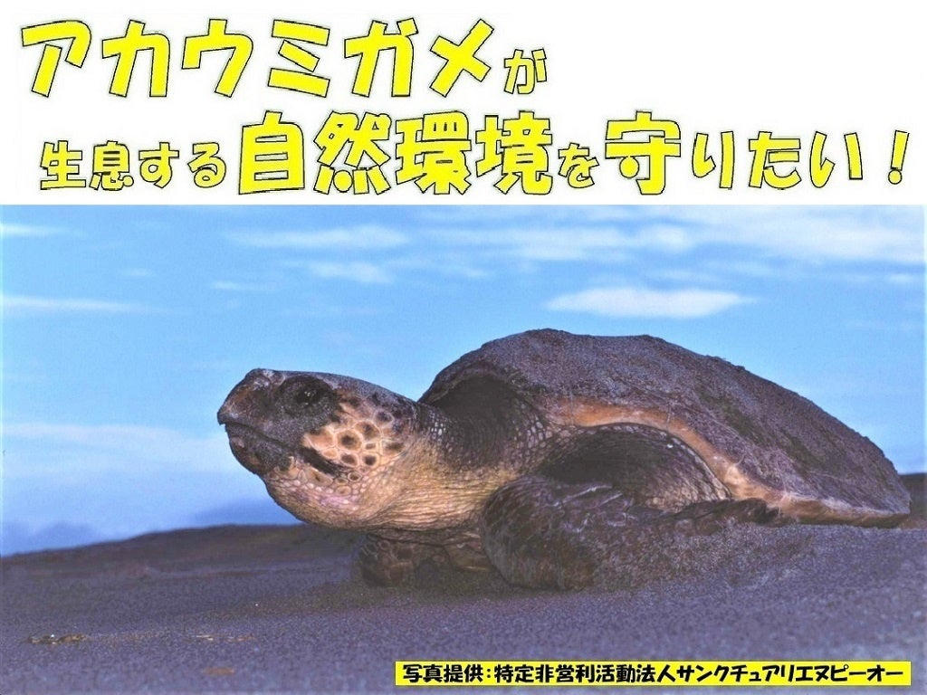 「アカウミガメの卵を守る新しい保護柵をつくるためのクラウドファンディングを実施しています」