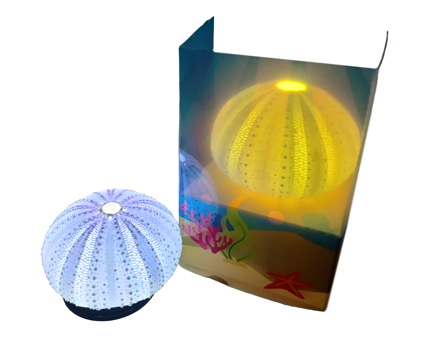 ウニランプを作ろう