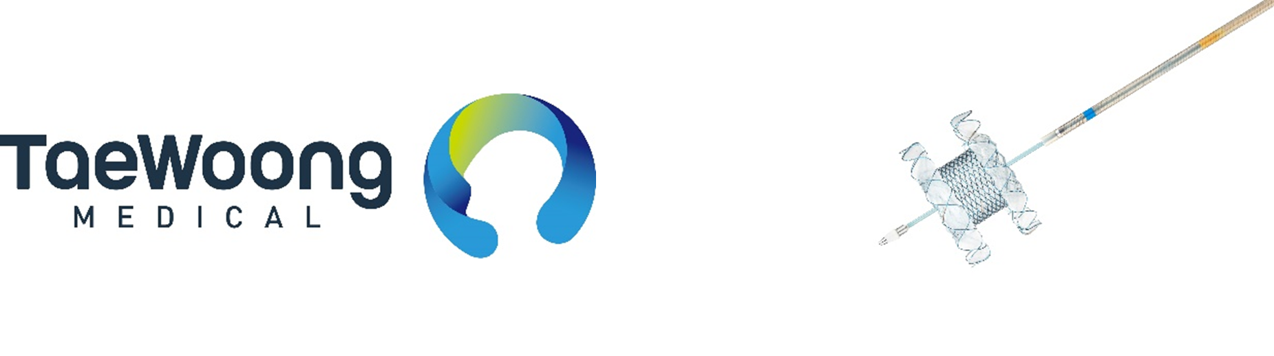 ▲左：Taewoong Medical社、右：Taewoong Medical社製 胆道・膵臓向けステント「Niti-S Hot SPAXUS™ Stent & Electrocautery Stent Delivery」