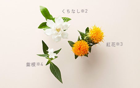 ※1 メイク効果によるもの　※2 クチナシ果実エキス　※3 ベニバナ花エキス　※4 ムラサキ根エキス