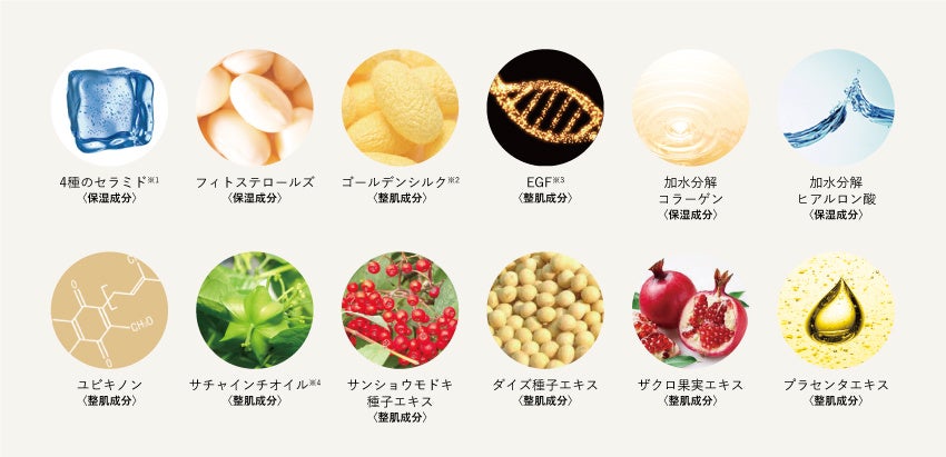 ※1 セラミドEOP、セラミドNG、セラミドNP、セラミドAP ※2 加水分解シルク ※3 ヒト遺伝子組換オリゴペプチド-1 ※4 プルケネチアボルビリス種子油