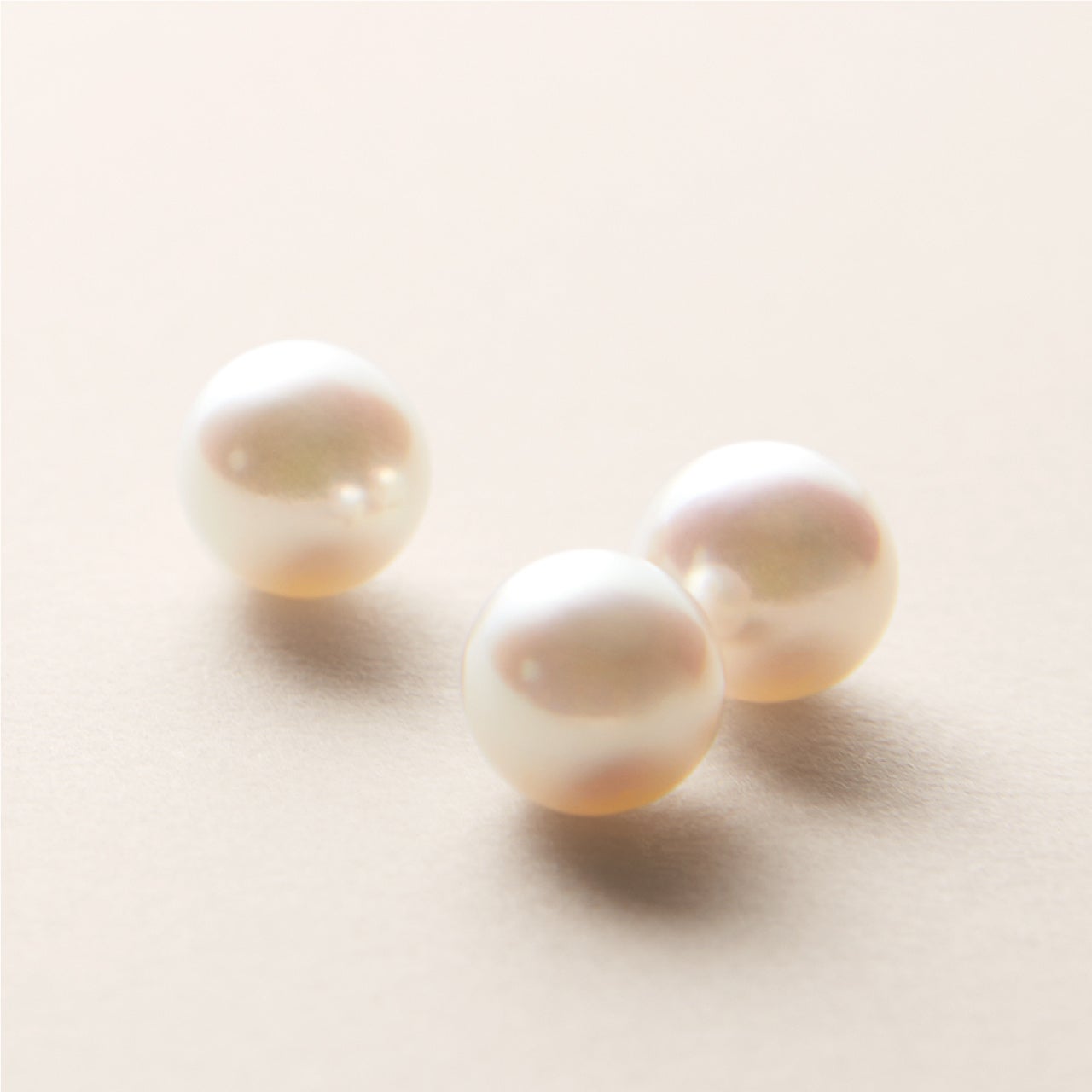 ※ 加水分解コンキオリン