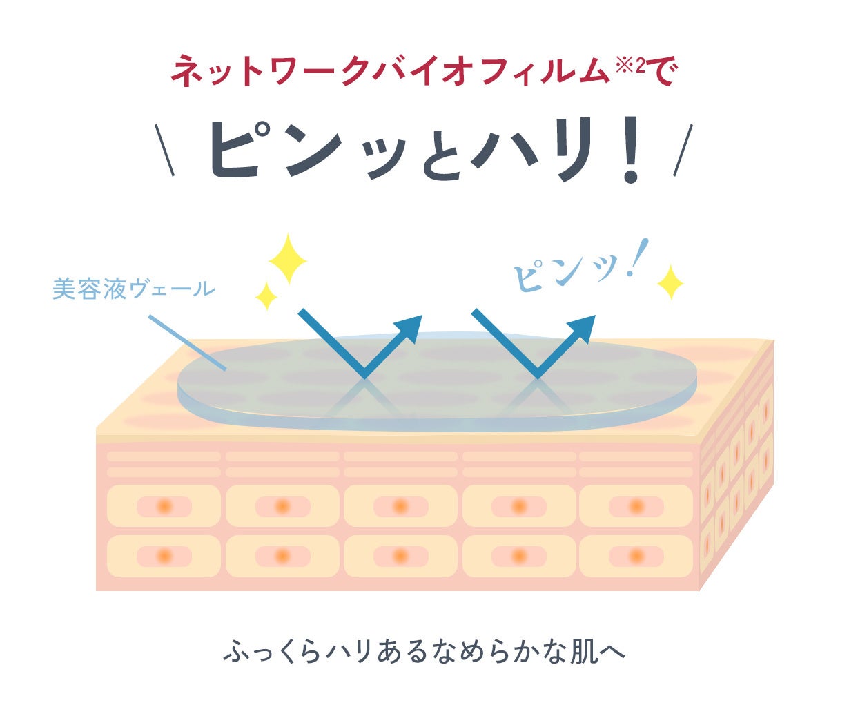 ※1 ハリを与えること ※2 〈シンハイカン〉トリフルオロ酢酸テトラデシルアミノブチロイルバリルアミノ酪酸ウレア／〈フィルムエクセル〉カエサルピニアスピノサ果実エキス・カッパフィカスアルバレジエキス（ハリケア）※3 角質層まで