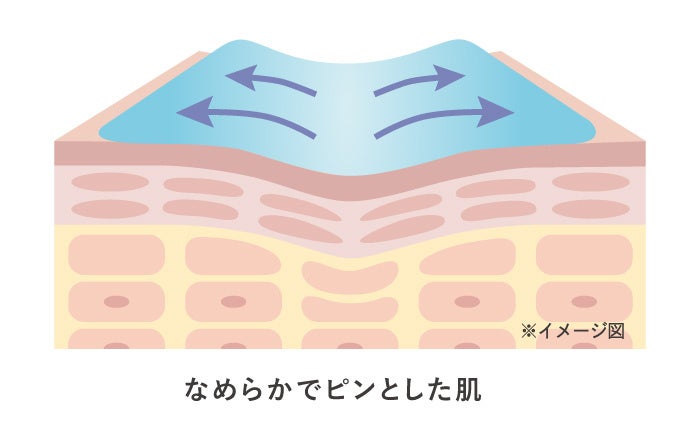 ※1 ハリを与えること ※2 トリフルオロ酢酸テトラデシルアミノブチロイルバリルアミノ酪酸ウレア、カエサルピニアスピノサ果実エキス、カッパフィカスアルバレジエキス(ハリケア成分)※3 角質層まで