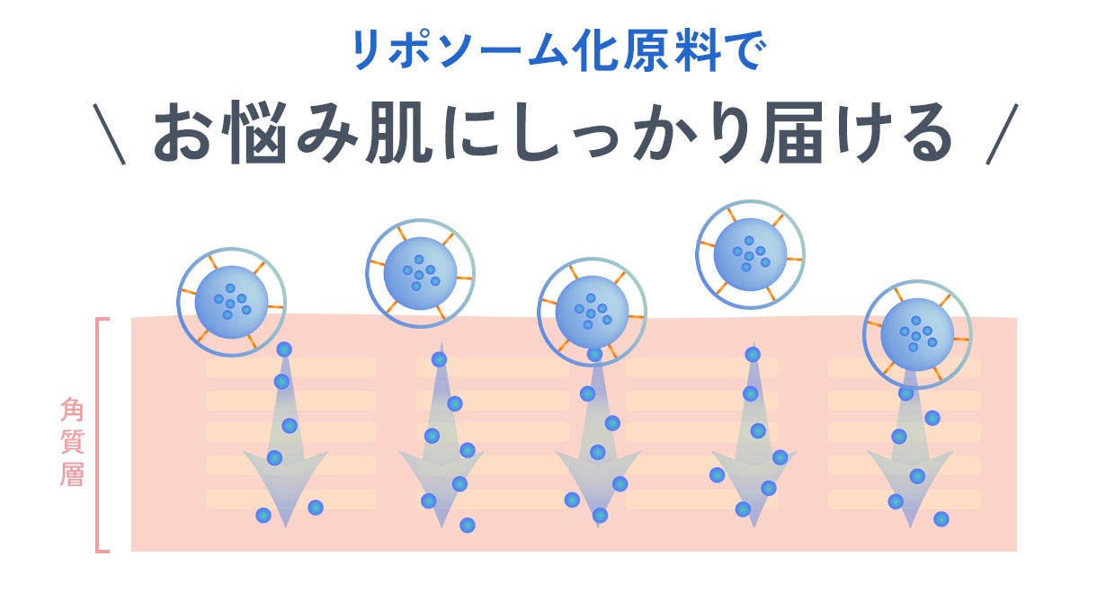 ※4 角質層まで ※5 リポソーム化原料(構成原料)水、BG、グリセリン、水添レシチン、ダイズ油、オレイン酸Na、EDTA-2Na ※6 うるおいによる