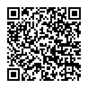 資料ダウンロードはこちらから