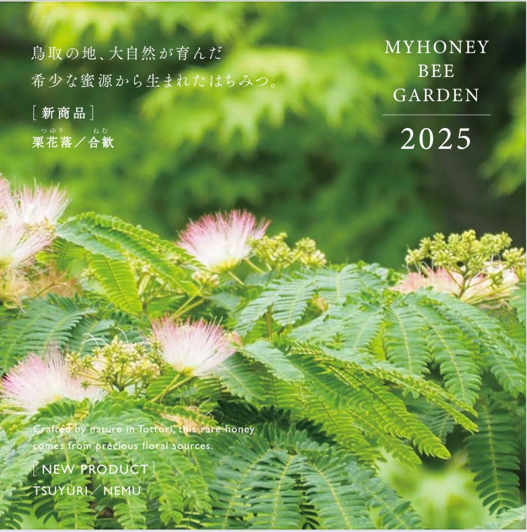 日本蜜蜂 蜂蜜 国産 600g×2【2024年11月採蜜‼️】 日本蜜蜂 蜂蜜 国産 600g×4【2024年11月採蜜‼️】