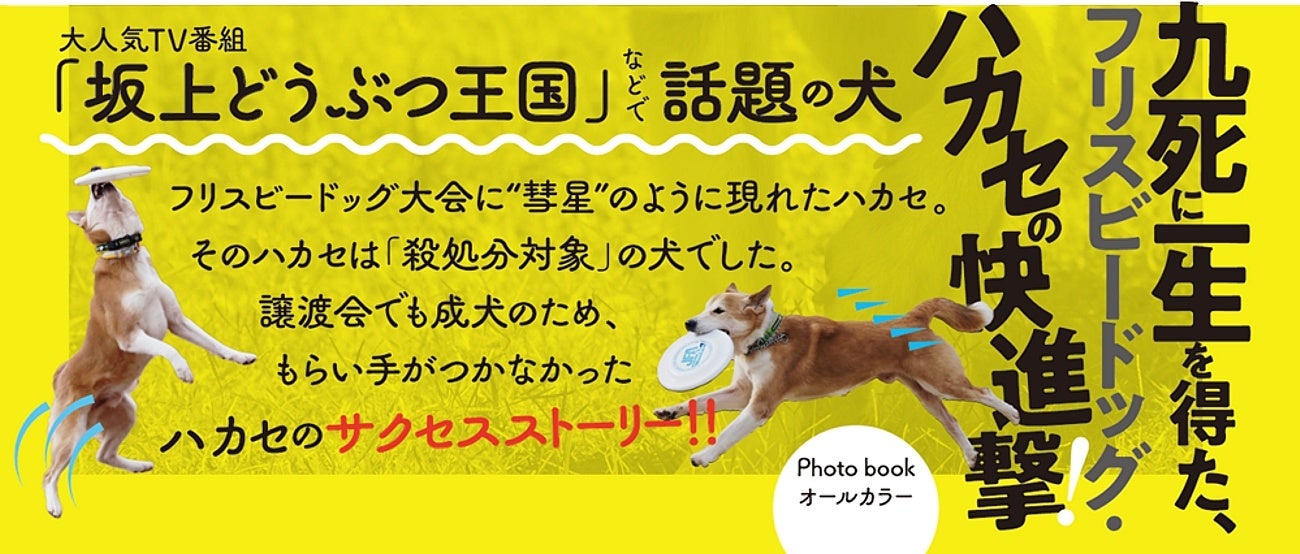 九死に一生を得た犬 の快進撃 書籍 保護犬の星 フリスビー犬ハカセ が発売 株式会社ハート出版のプレスリリース 九死に一生を得た犬 の快進撃 書籍 保護犬の星 フリスビー犬ハカセ が発売 株式会社ハート出版のプレスリリース