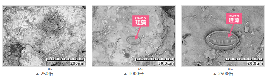 電子顕微鏡を通して観察した堆積岩の画像