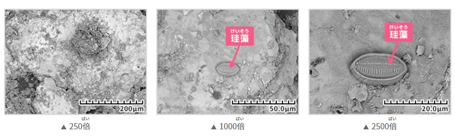 電子顕微鏡を通して観察した堆積岩の画像