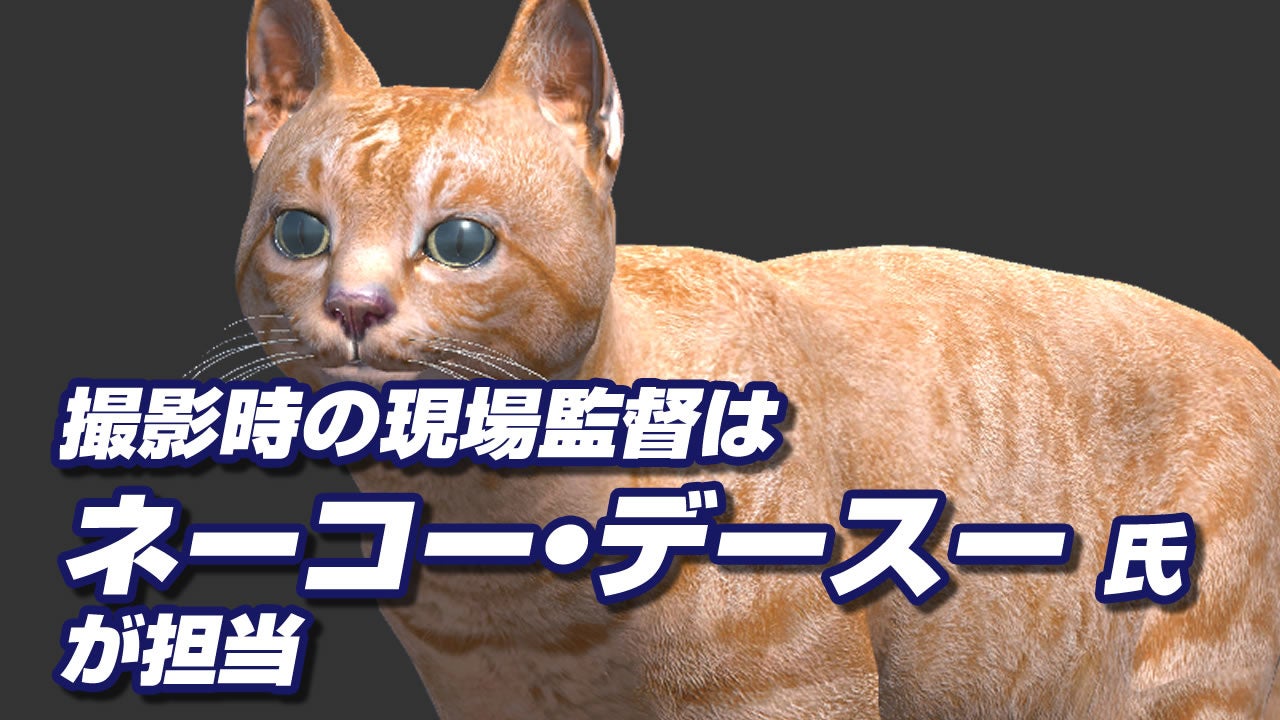 ネーコー・デースー氏