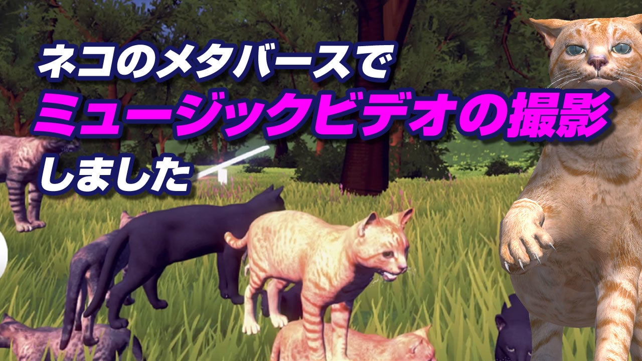 ミュージックビデオの撮影を実施しました