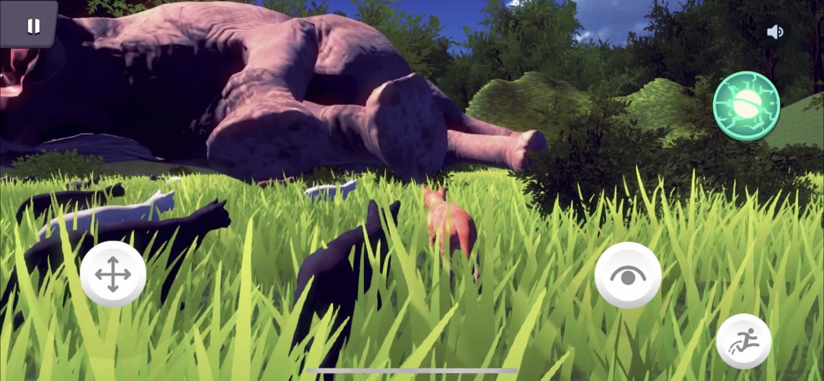 象の周りに集まるネコ達