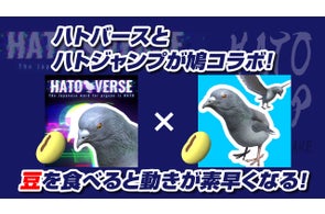 鳩のメタバース「ハトバース」がゲーム「ハトジャンプ」と鳩コラボ!両ゲームにて豆を食べると早くなる機能を実装 6月26日