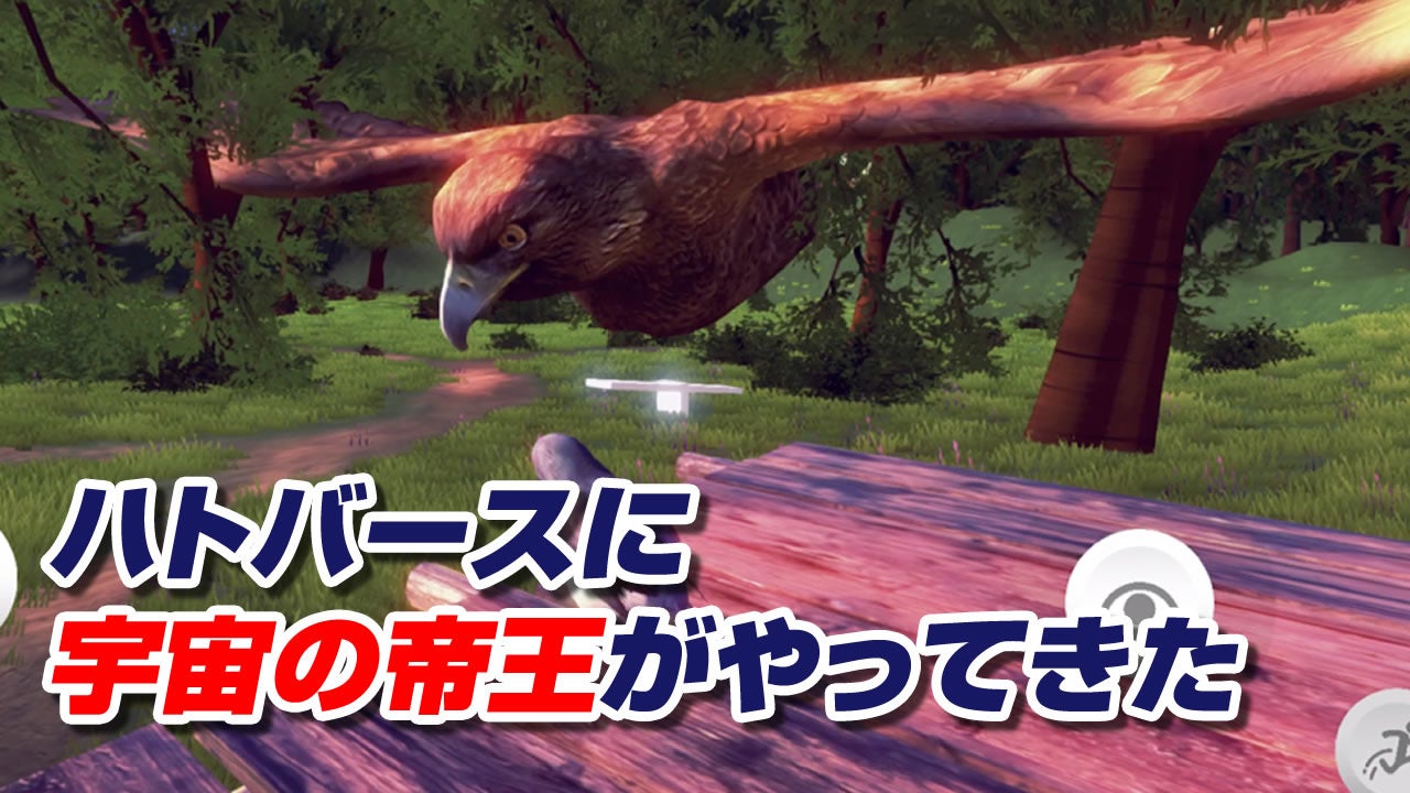 ハトバースに宇宙の帝王がやってきた