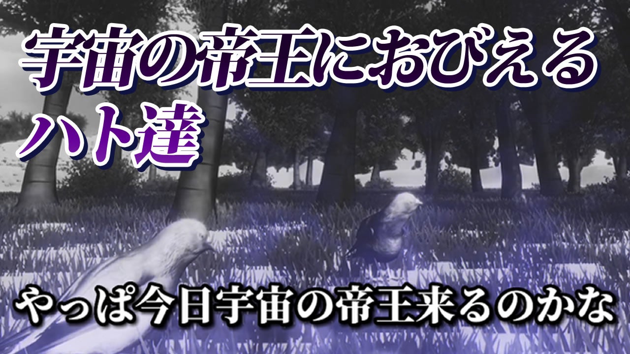 おびえるハト達