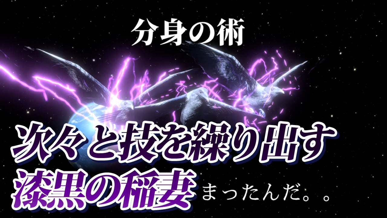 次々と技を繰り出す漆黒の稲妻