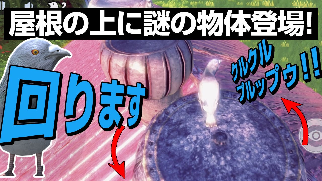 屋根の上に謎の物体が