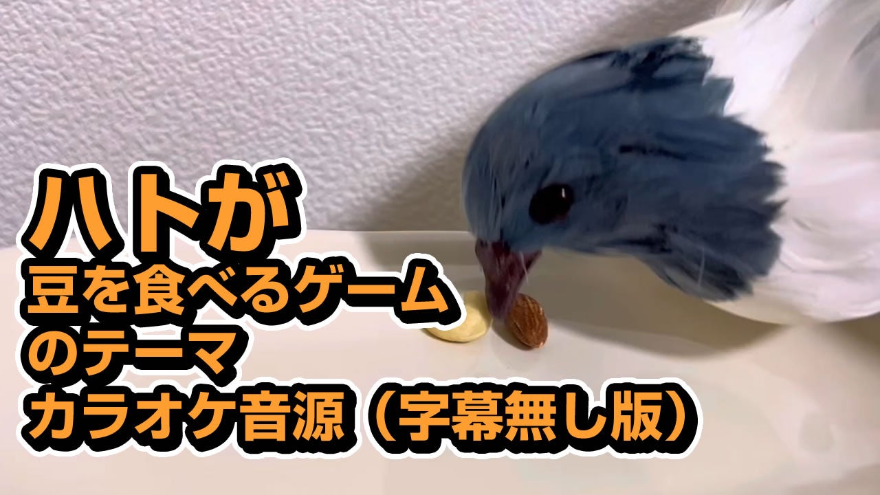 ハトが豆を食べるゲームのテーマ(カラオケ版)