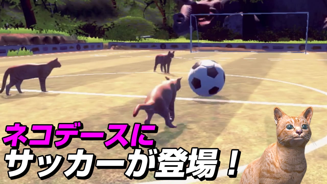 ネコデースにサッカーゴールが登場！