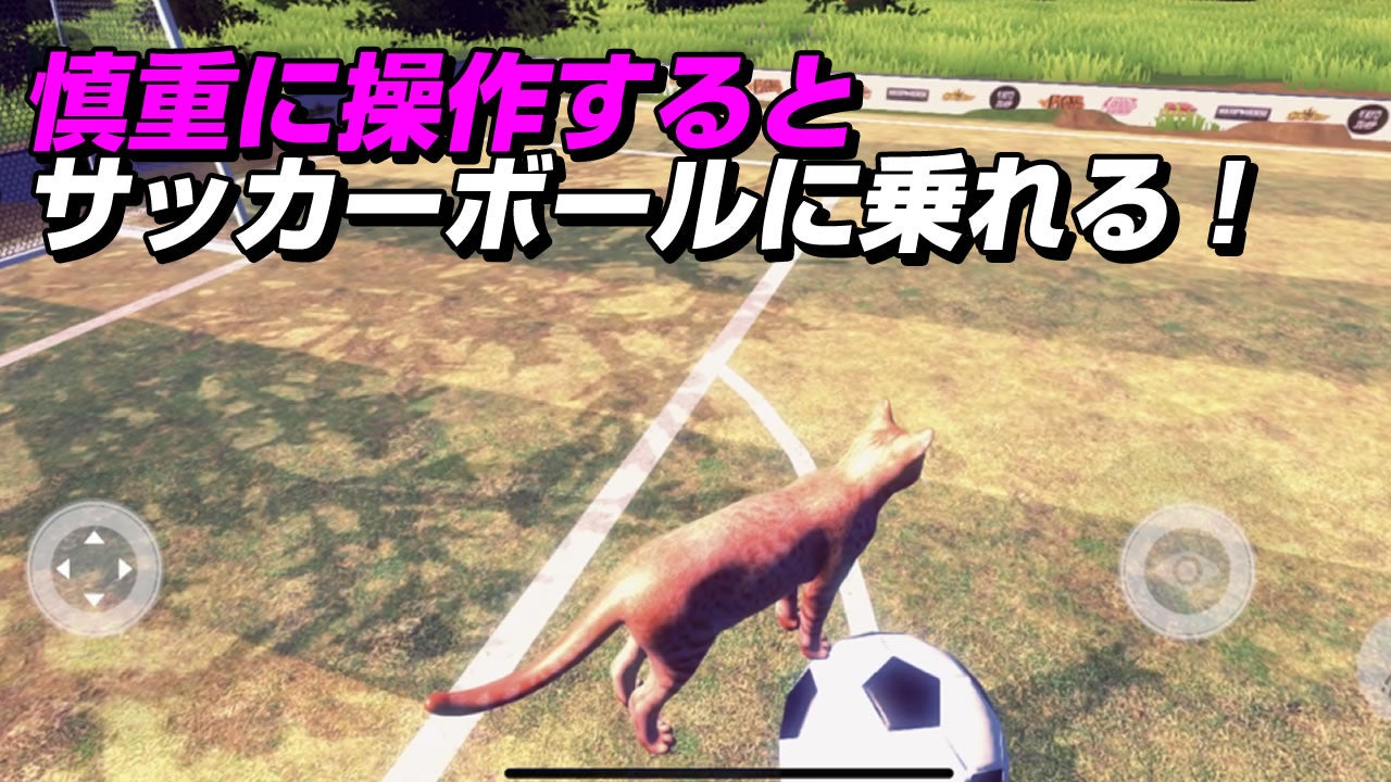 慎重に操作するとサッカーボールに乗れる！