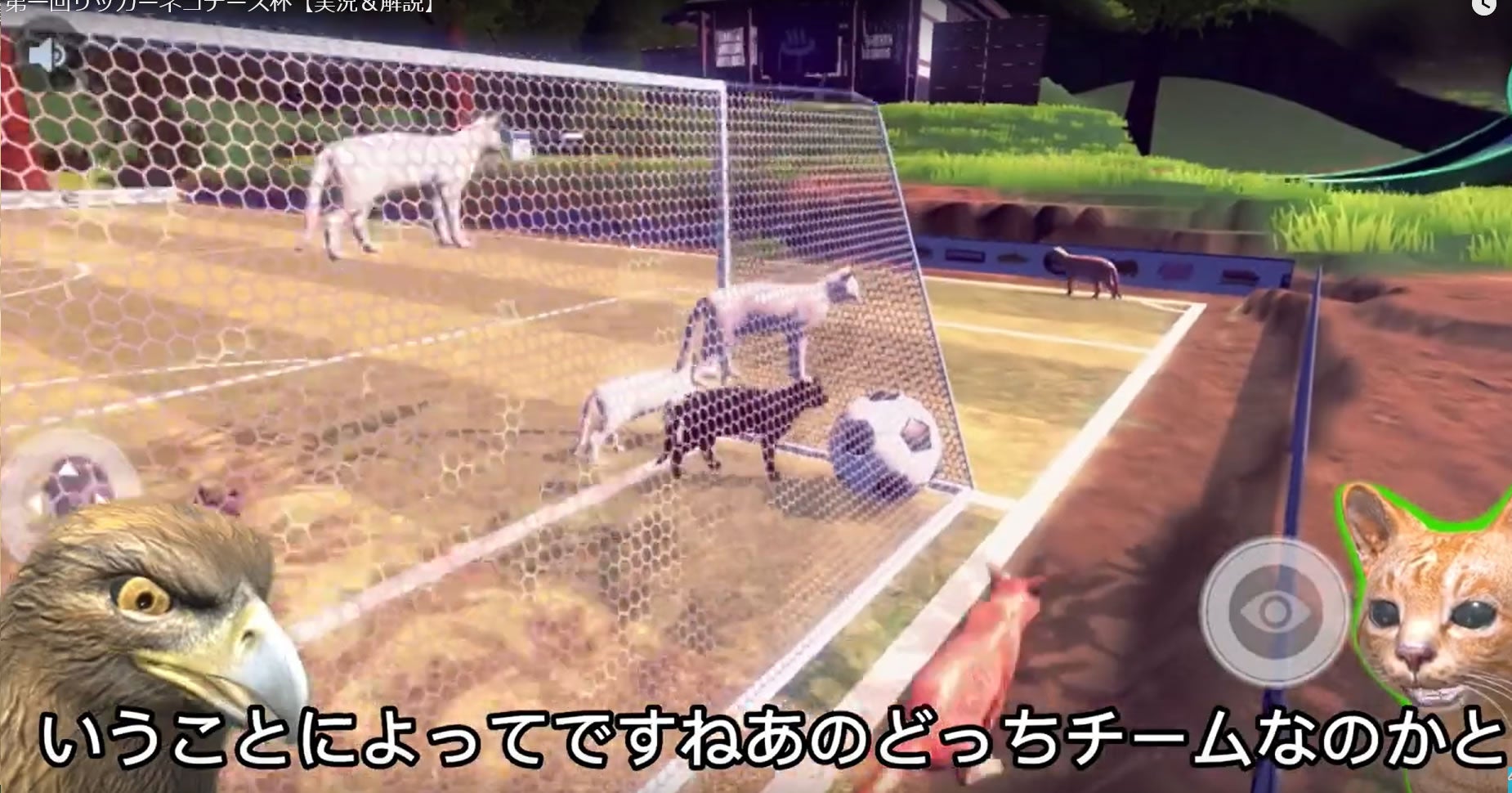 どの猫が仲間か分からなかったと語るネーコー・デースー氏