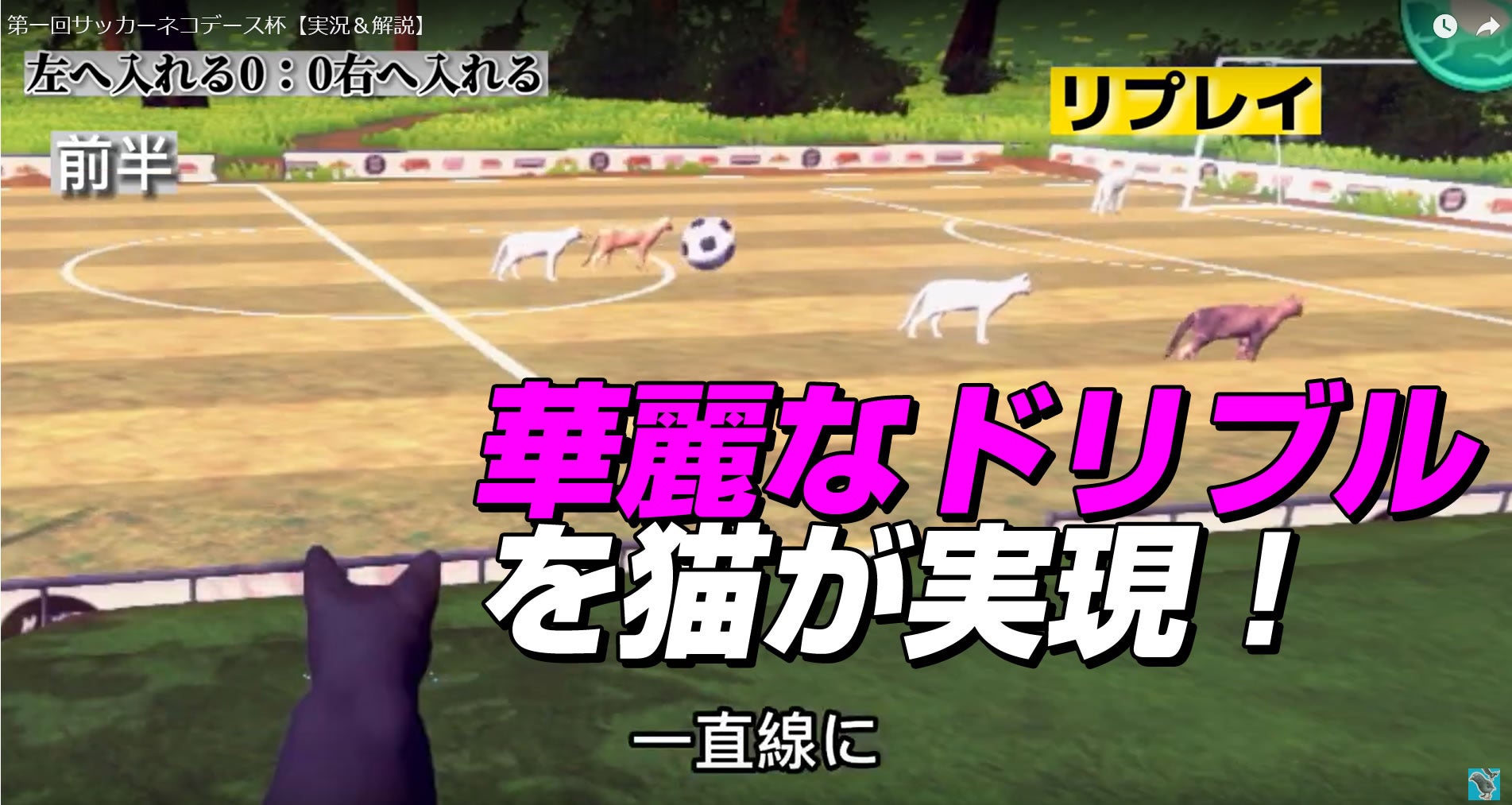 華麗なドリブルをする猫