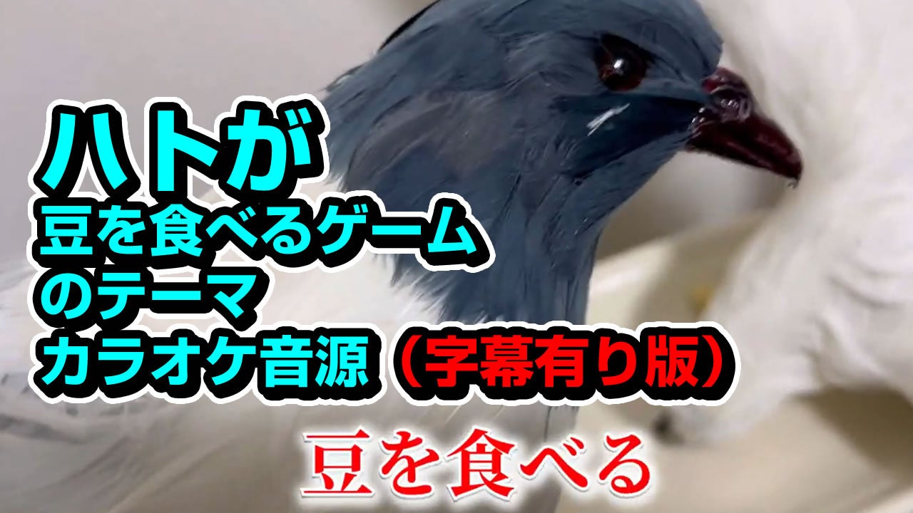 字幕有り版が登場