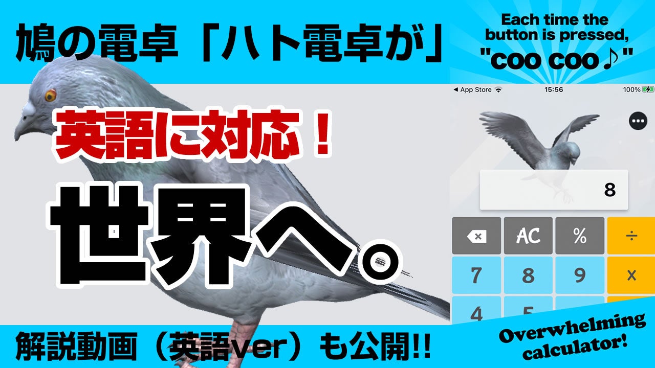 ハト電卓が英語対応