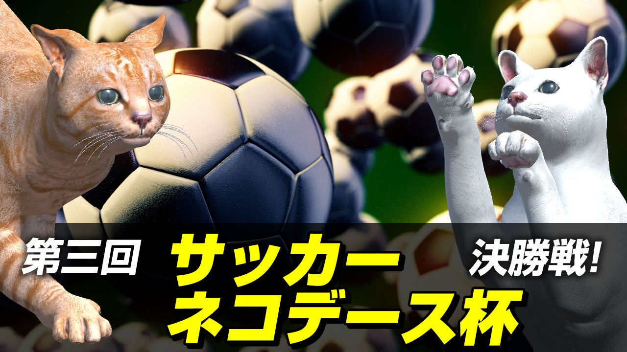 第三回サッカーネコデース杯