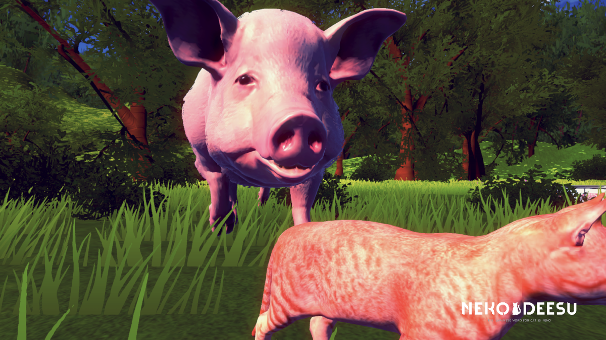 歩く豚と猫その２