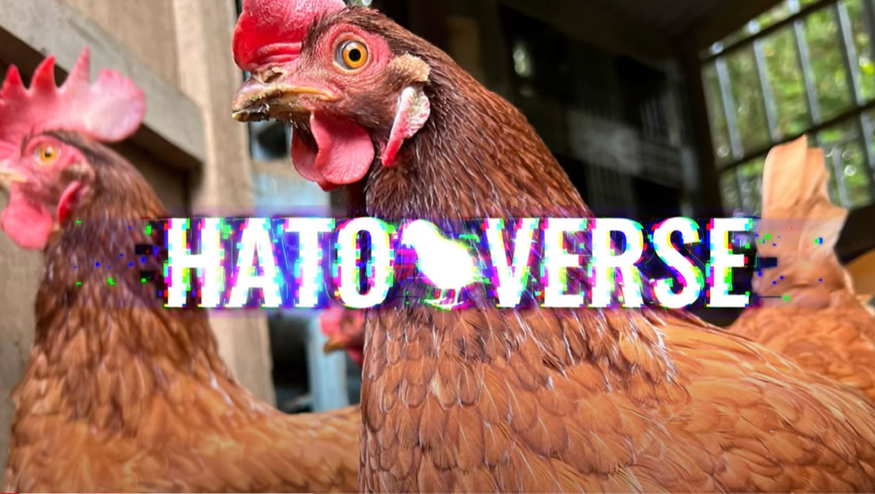 オリジナルテーマソングハトバースのテーマをリリース